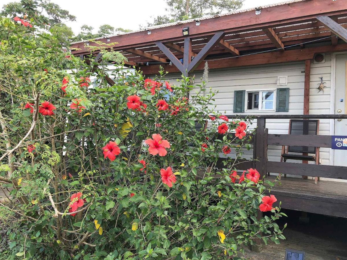 Panorama Ocean View Cottage Motobu Bagian luar foto
