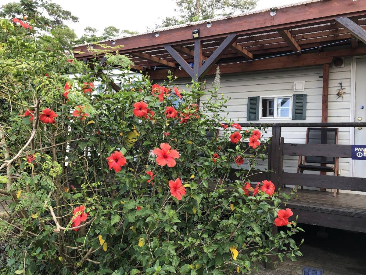 Panorama Ocean View Cottage Motobu Bagian luar foto