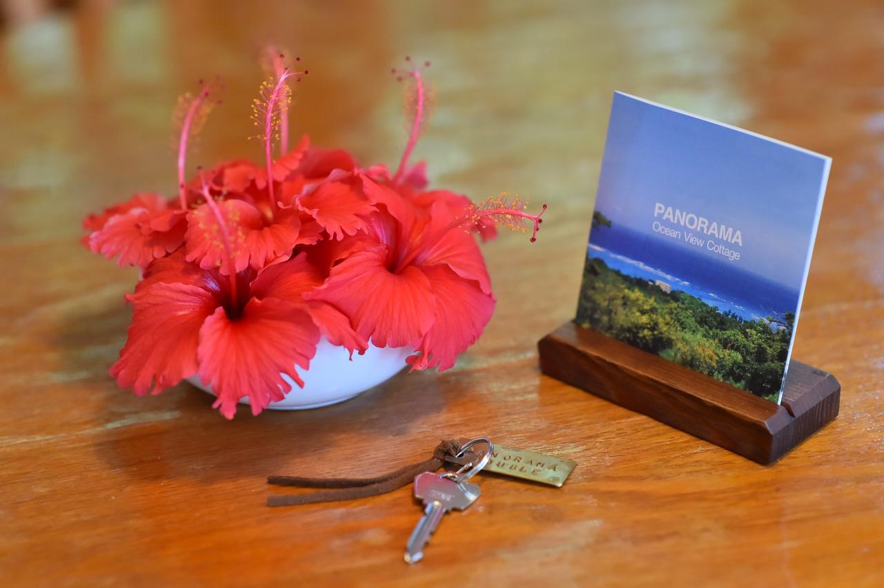 Panorama Ocean View Cottage Motobu Bagian luar foto